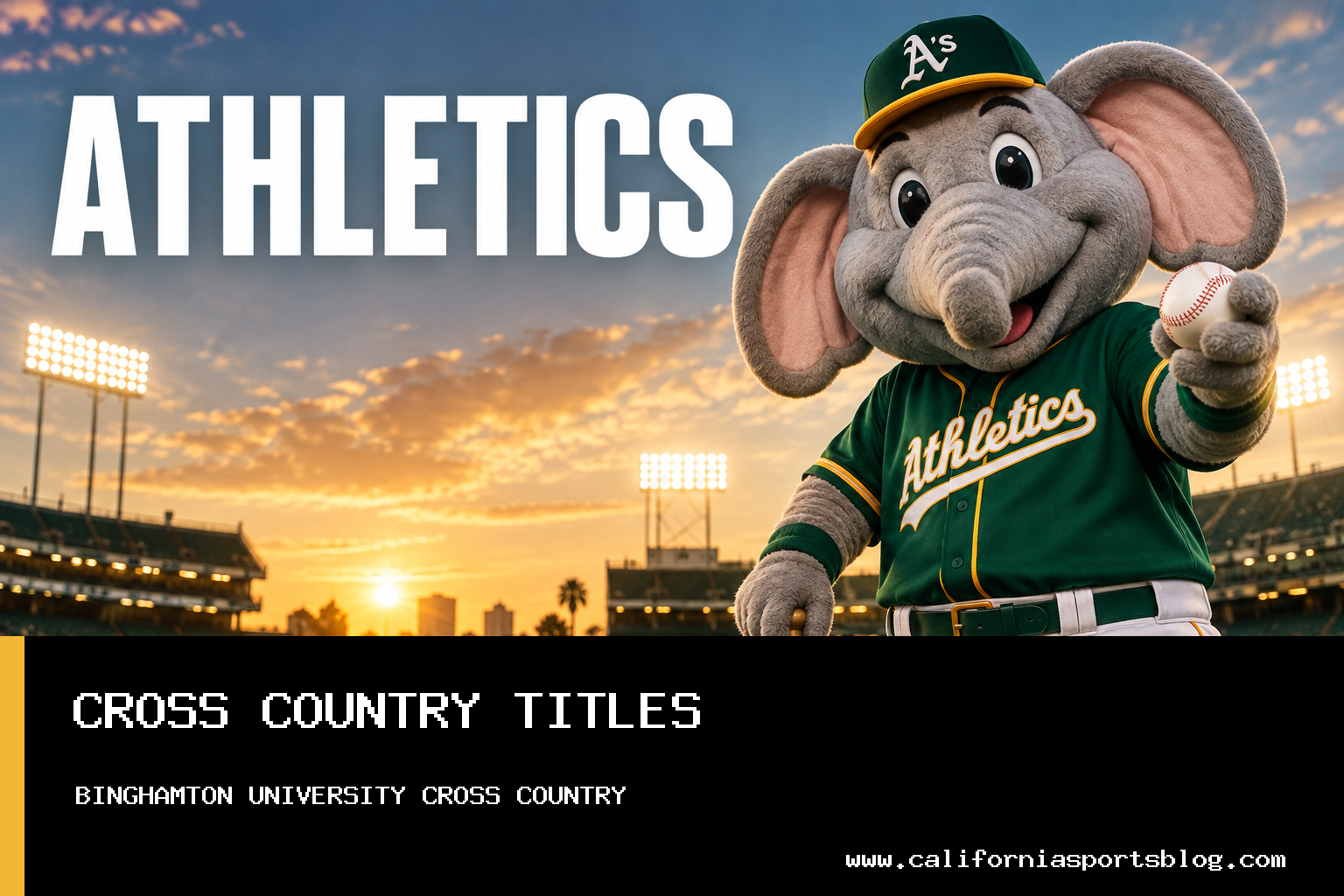 Binghamton University Cross Country Teams Sweep Titles at Iona Meet of Champions featured image