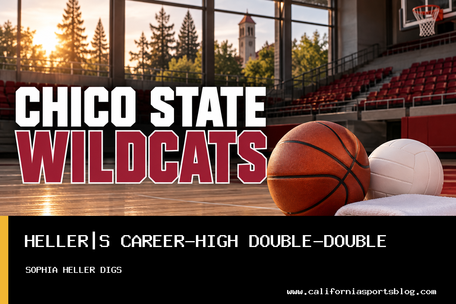 Chico State Wildcats Women's Volleyball Falls 3-1 to Cal State East Bay with Sophia Heller Posting Career-High Digs featured image