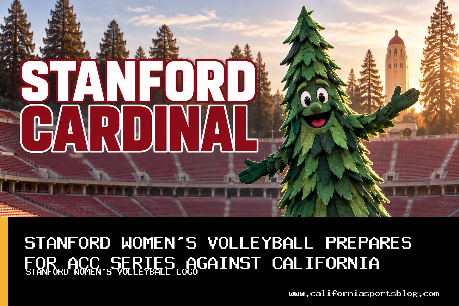 Stanford Women's Volleyball to Host and Visit Cal in 2026 ACC Series featured image